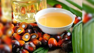 aceite-de-palma (2)