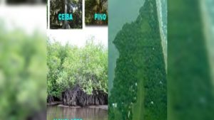 83e04492-4fb9-4785-8bc1-2415adade103-1-1