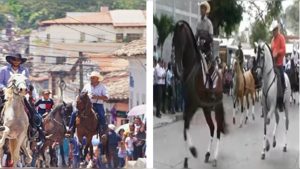 985cb197-4d4f-42b4-bc51-b5af0f7f9da7