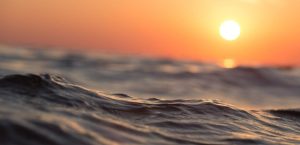 WhatsApp-Image-2023-08-04-at-8.55.18-PM-1