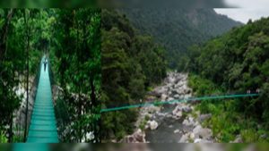 c363a65e-9d75-4aa2-a64f-8d7626a835f3