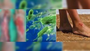 e50209a1-14bc-4f0e-8950-4d48261a98af