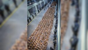 foto-del-dia-17-696x1033-2