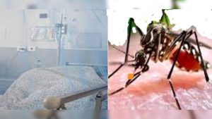 04a084fd-1436-45d3-8f91-6a76840a2dd9-1