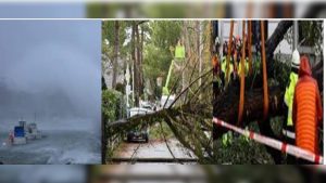 0a86873a-d160-454e-aef8-01e6aa5df347-1