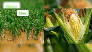 1713dd7a-cf06-483b-9192-198987d81d39