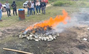 Incineran-514-paquetes-de-marihuana-decomisados-en-la-capital