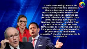Yo-cumplo-con-el-trabajo-que-tenia-que-realizar-a-traves-de-mi-desempeno-de-las-causas-sometidas-a-mi-conocimiento-y-mis-companeros-yo-fui-parte-de-un-tribunal-compuesto-por-tres-y-ellos-delegar