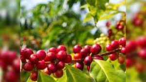 b8a28475-c9a4-4e68-8d8e-19e904a84239