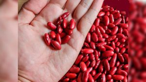 efc644b1-d73a-4a43-86b6-8516da82bdec