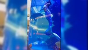 1ec2f8b0-faed-4287-8615-32e50dcd4f56-1