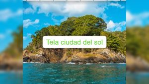 8d323a59-46c0-4c64-94a0-002aababccf9