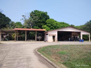 estafadores-les-aseguran-233-bienes-en-Colon