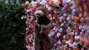 67c3e8a5-4686-457f-9332-df01e26fc8e9