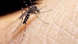 C4CEKOX7k_1256x620__1-1-1024x505-1