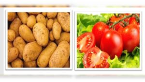 cfd86006-09b6-4f40-8bed-6c3d5e9a8443