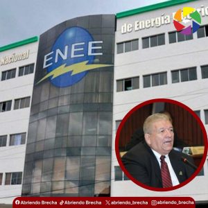 transplante-de-rinon-de-cerdo-12-1