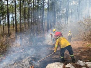 icf-incendios-4-696x522