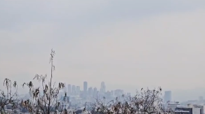 Captura de Pantalla 2025-05-02 a la(s) 13.08.41