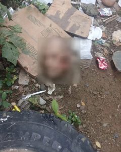 WhatsApp Image 2025-05-15 at 3.10.54 PM