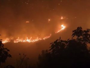 milimg-4741-1585337-10695411-2025050_10695411_20250507191258