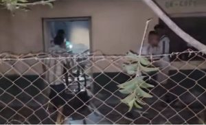 493812789_694966440001765_5474955736690740289_n