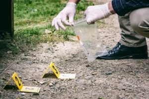 503704379_1312693437530462_3772685752021992286_n