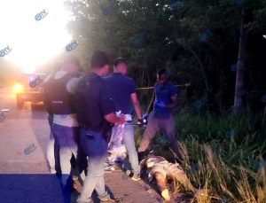 508032323_1159252559562464_7294304030222978669_n