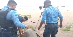 Captura de Pantalla 2025-06-20 a la(s) 15.13.09