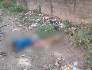 518016243_1311935173632634_3248189546035758566_n