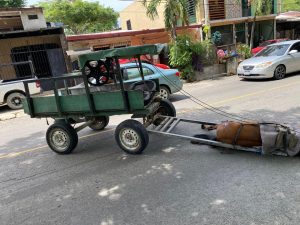 518393932_1312882083537943_458206243276298344_n