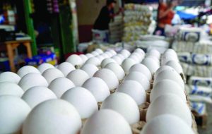 carton-de-huevos-e1702076777904