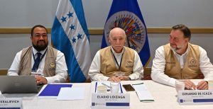 mision-electoral-de-la-oea-venimos-a-observar