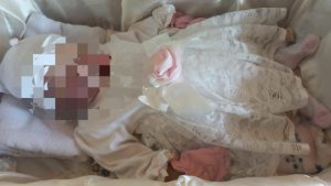 528994092_1161914775970406_9187358253766390215_n