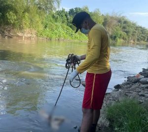 538775106_1340909837401834_4199865445698861249_n-2