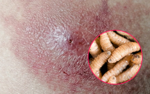 Diseno-sin-titulo-2025-03-26T135135.786