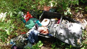 550217481_1419390636856280_1214352481619099904_n