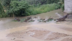 Captura de pantalla 2025-09-17 a la(s) 1.12.37 p. m.