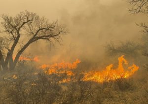 El peor incendio en la historia de Texas podría agravarse por el viento y las temperaturas