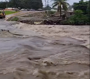 Captura de Pantalla 2025-11-11 a la(s) 13.11.23