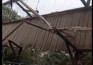 Captura de pantalla 2026-01-01 a la(s) 3.01.49 p. m.