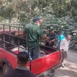 636979800_1440984378039245_1759801273771605484_n