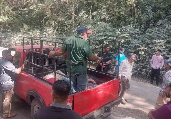 636979800_1440984378039245_1759801273771605484_n