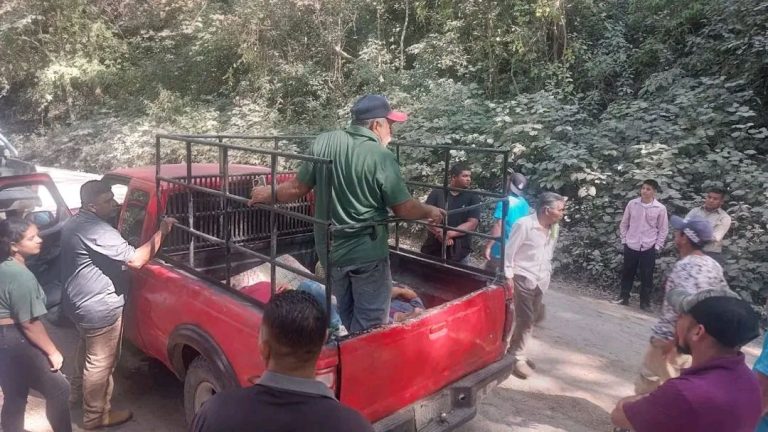 636979800_1440984378039245_1759801273771605484_n