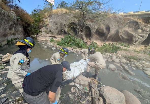 643882628_1477645874365240_2744026383659893979_n