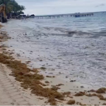 Captura de Pantalla 2026-02-09 a la(s) 12.56.54