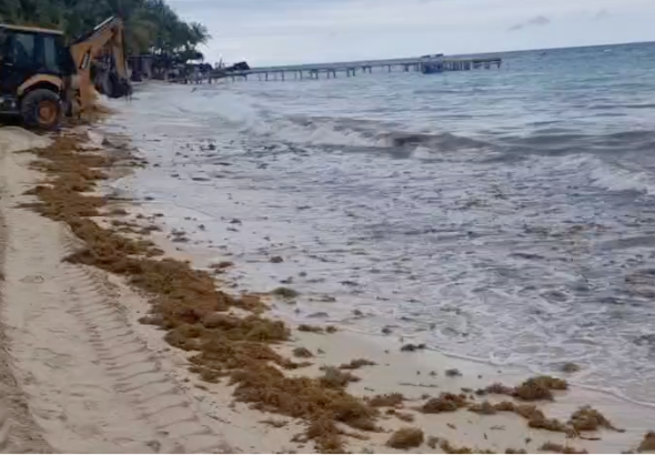 Captura de Pantalla 2026-02-09 a la(s) 12.56.54