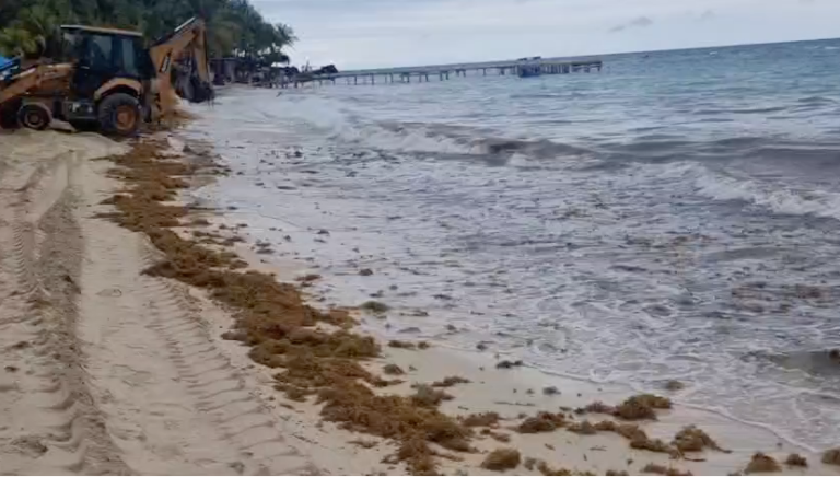 Captura de Pantalla 2026-02-09 a la(s) 12.56.54