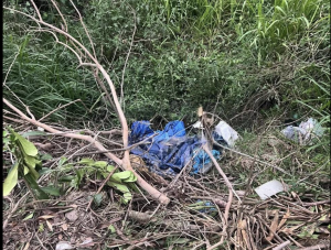 Captura de pantalla 2026-02-02 a la(s) 7.03.44 p. m.