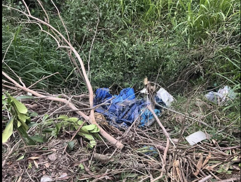 Captura de pantalla 2026-02-02 a la(s) 7.03.44 p. m.